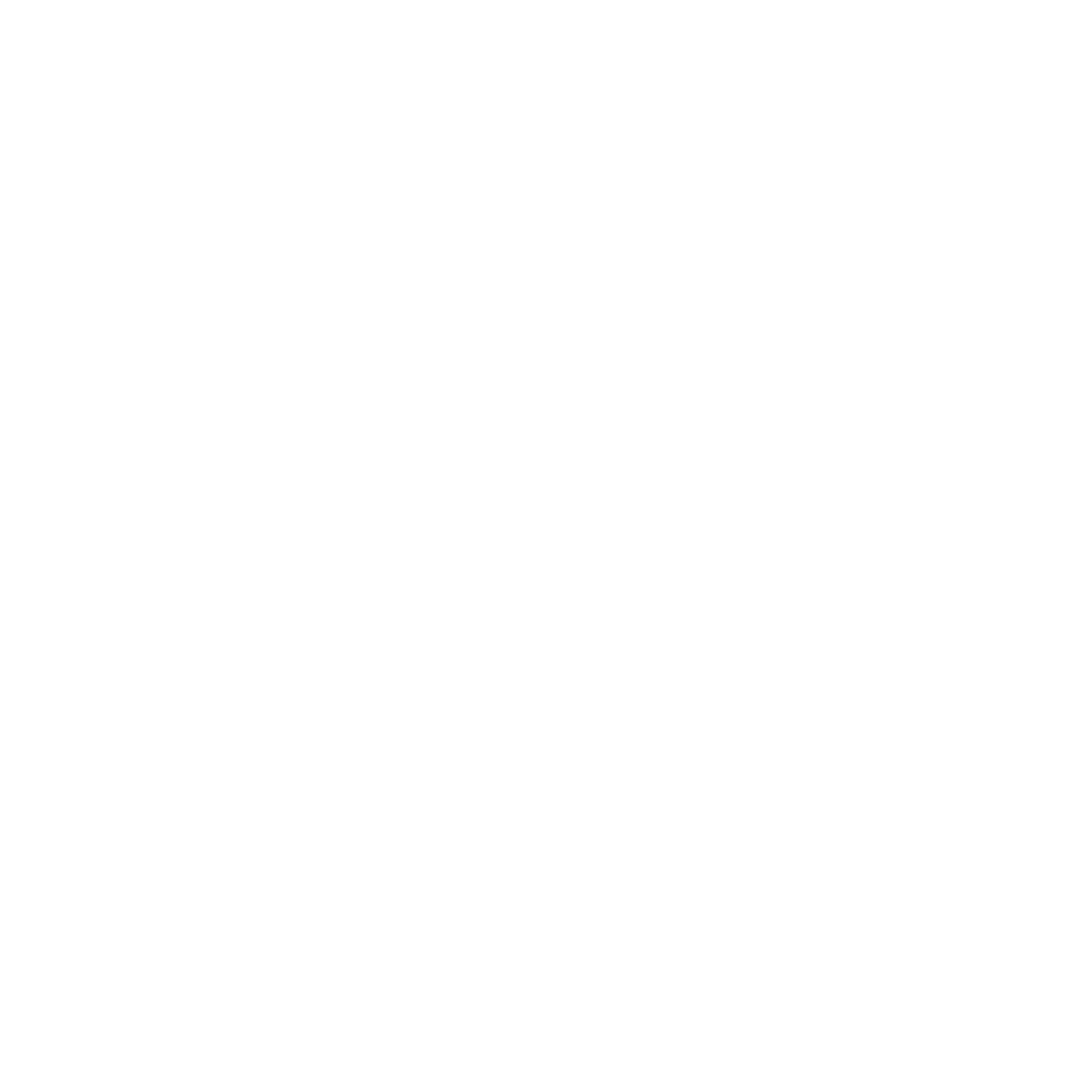 X100 Logo