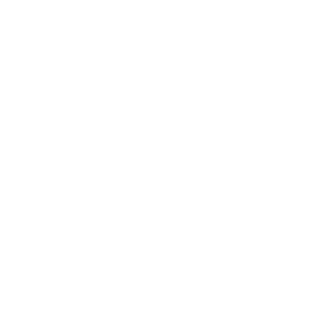 X300 Logo