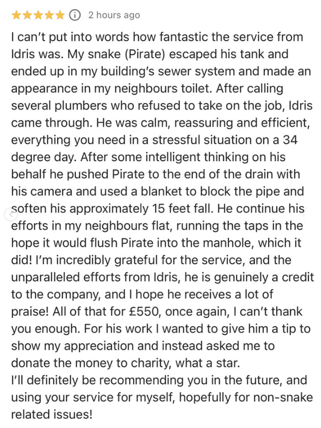 Five-star customer review about Pirate the snake being found in a sewer system using a drain camera.